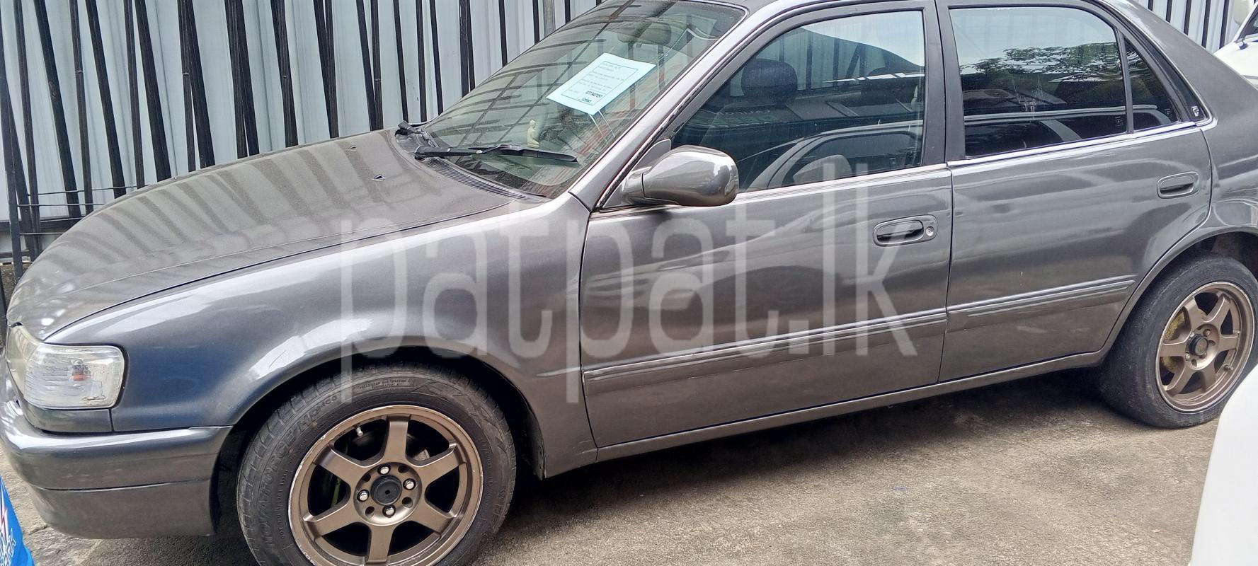 Advertisement image 3