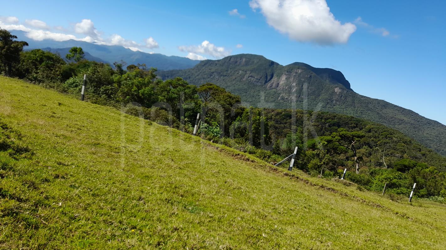 Residential Land for Rent in Kalutara ads-image-1