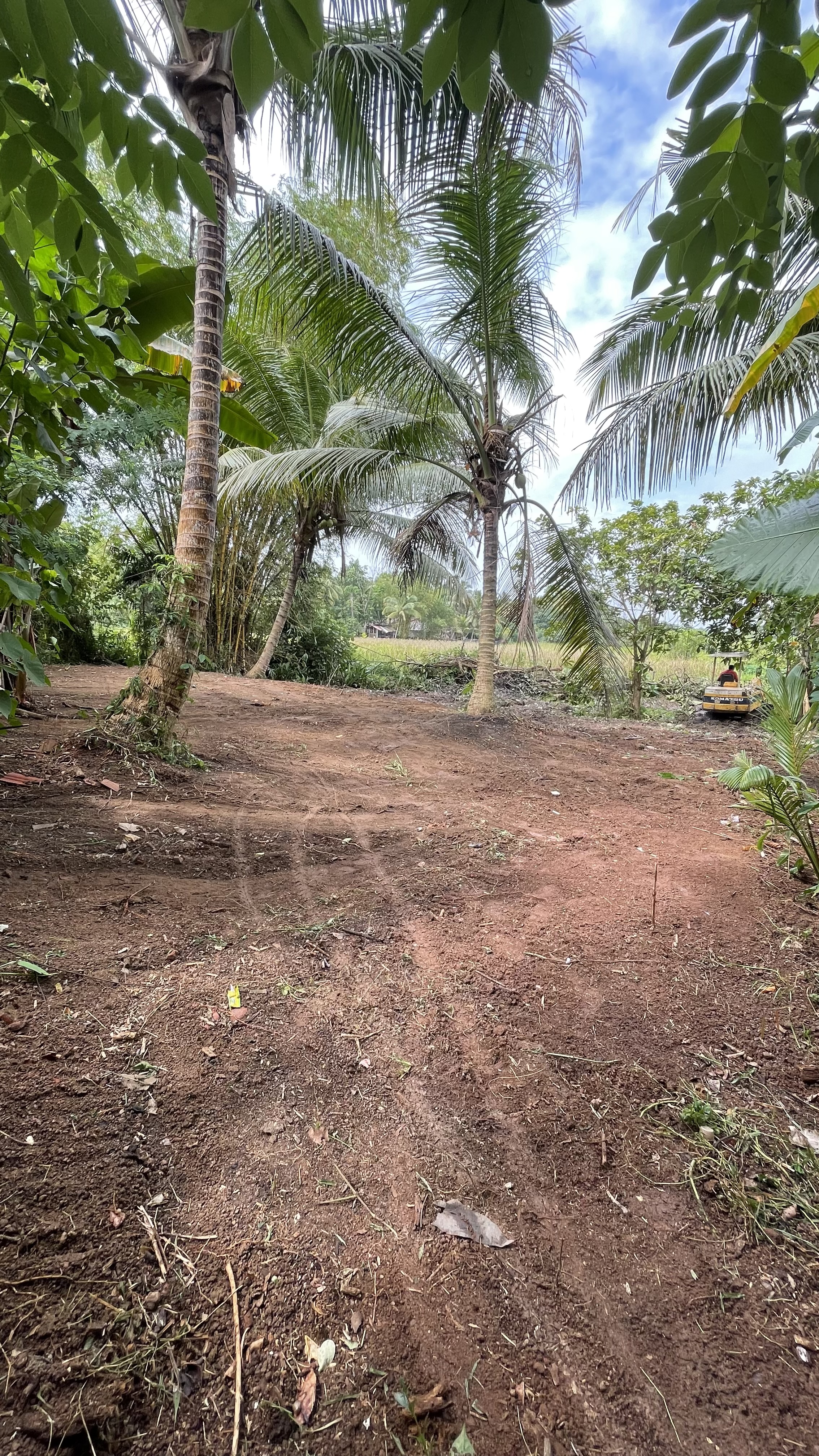 Residential Land for Sale in Yakkala ads-image-1