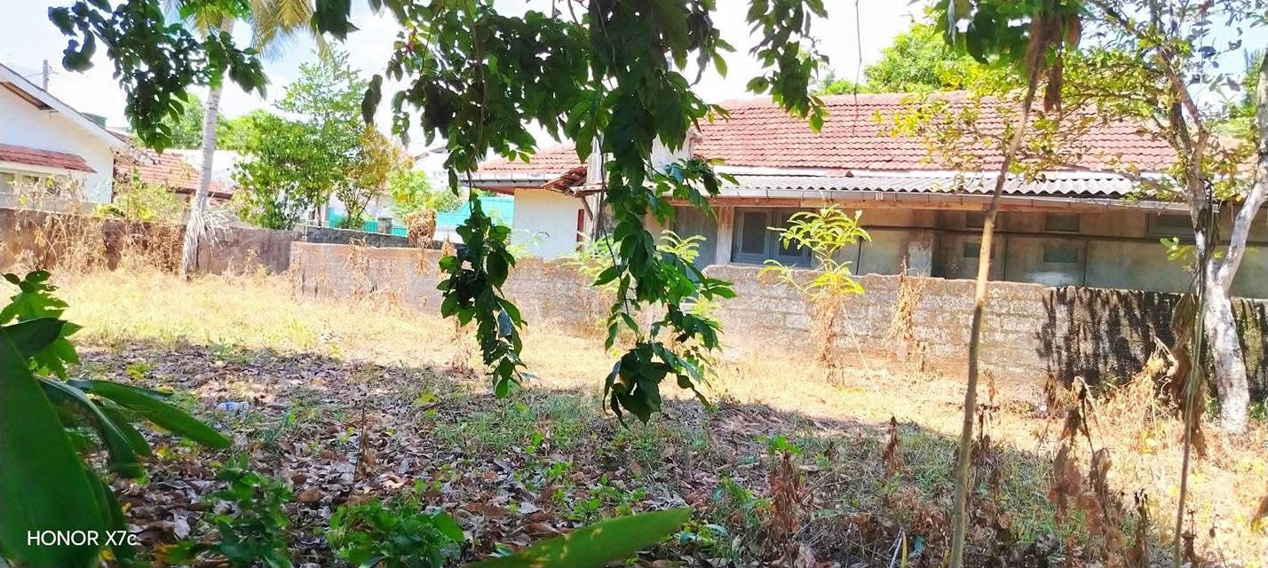 Agricultural Land for Sale in Panadura