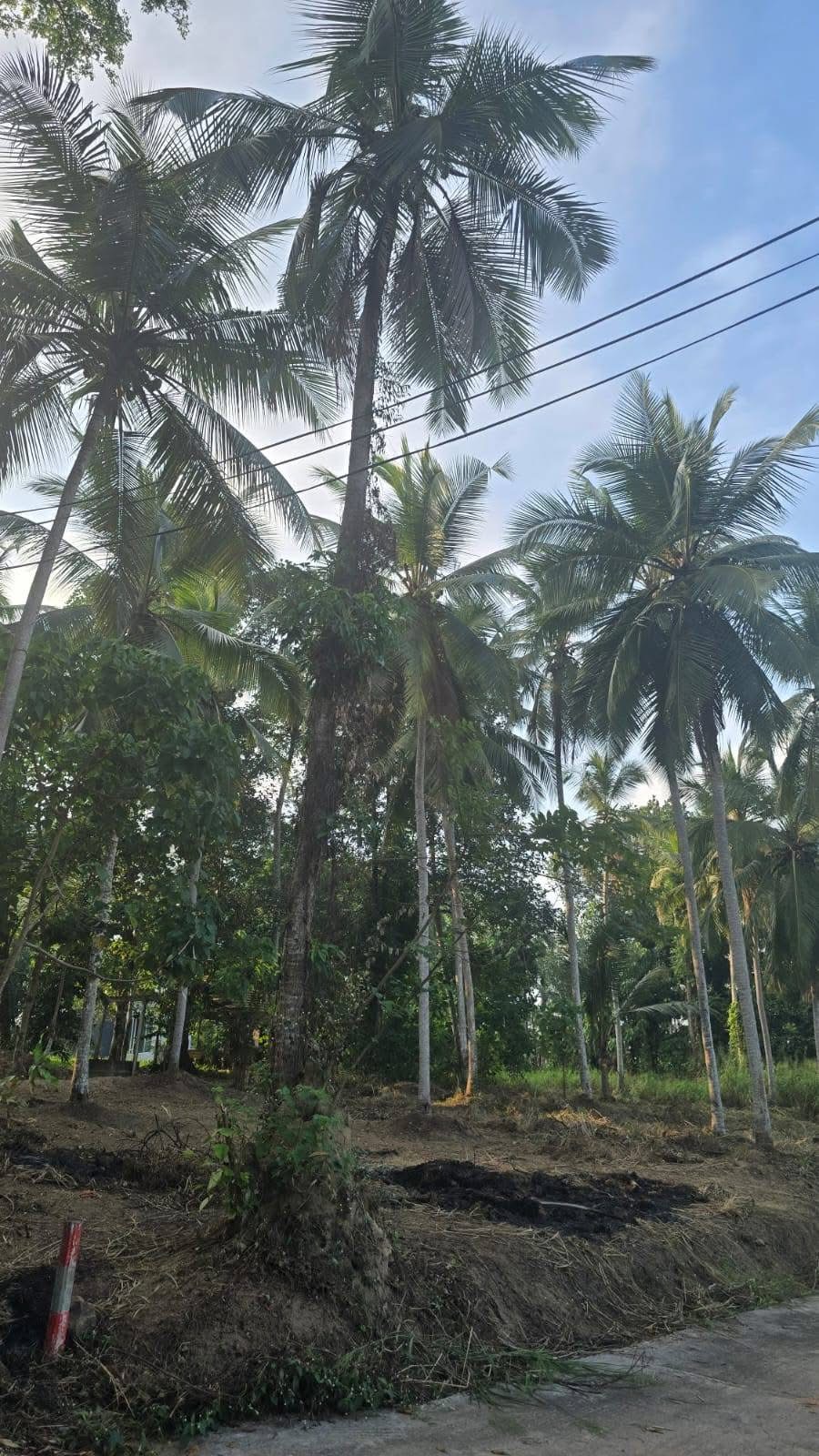 Residential Land for Sale in Yakkala