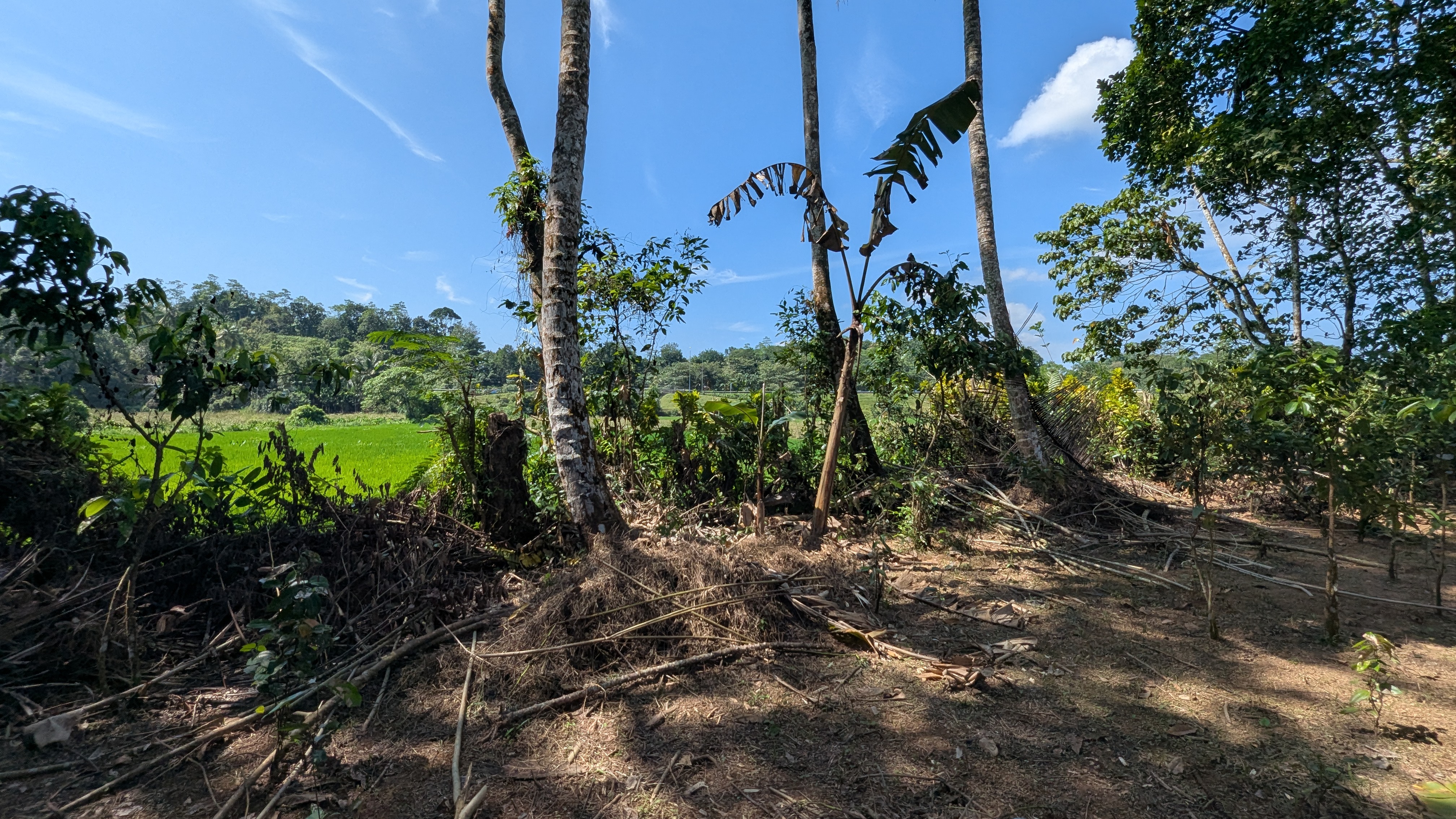 Residential Land for Sale in Baddegama
