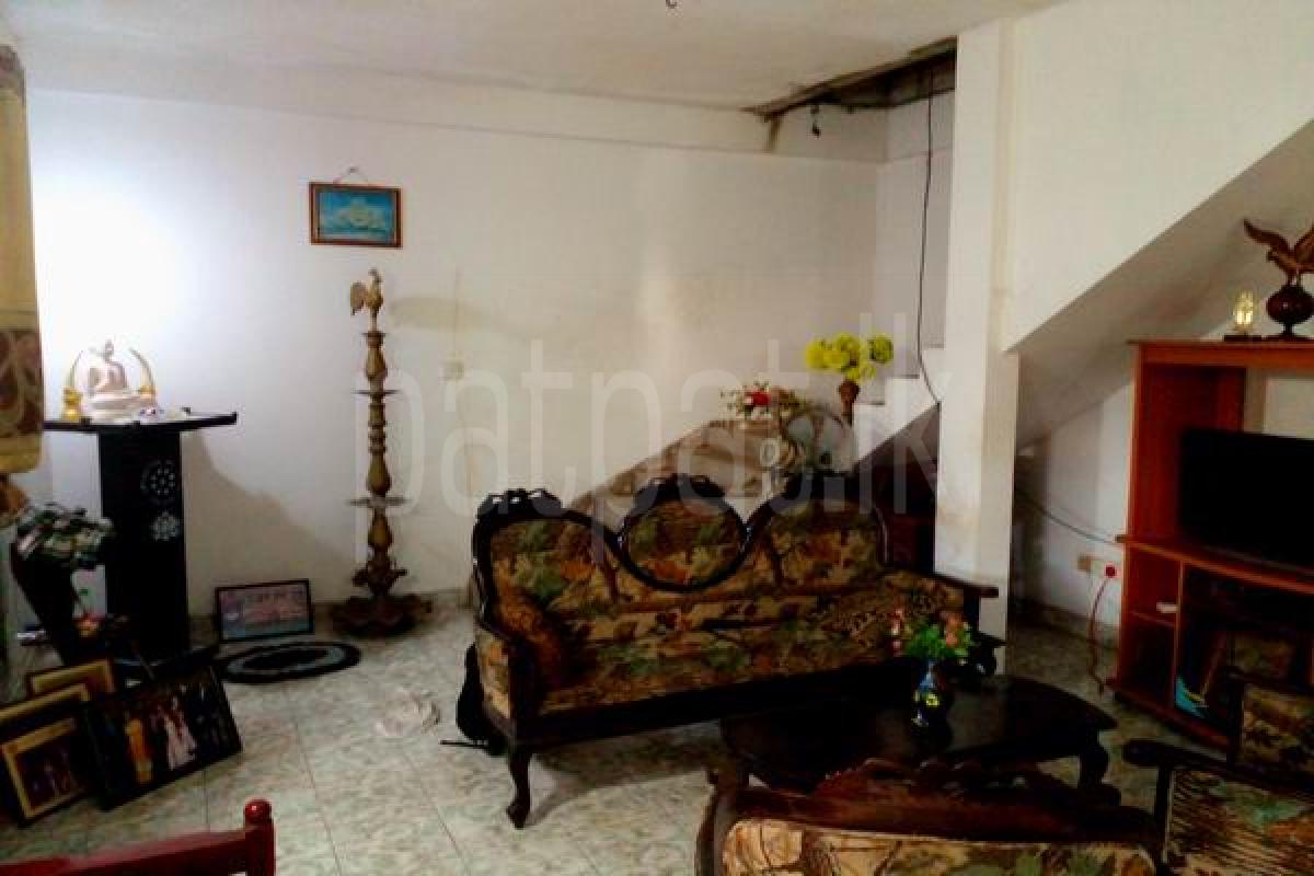 Advertisement image 6