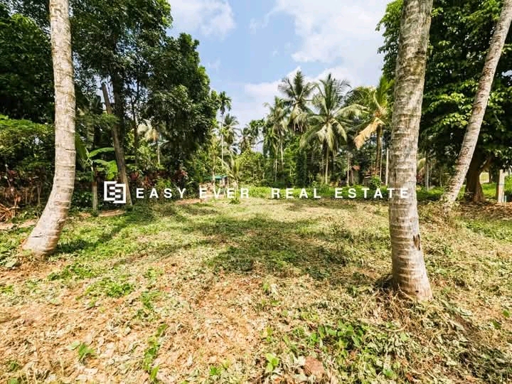 Commercial Land for Sale in Gampaha