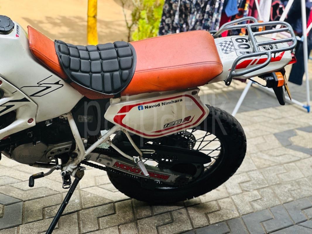 Advertisement image 5