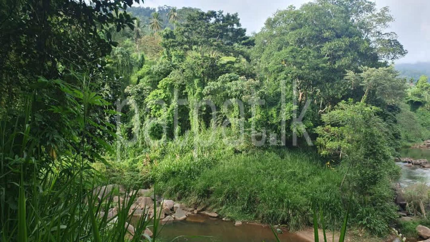 Agricultural Land for Sale in Deniyaya