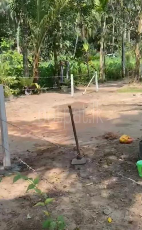 Residential Land for Sale in Galle ads-image-1