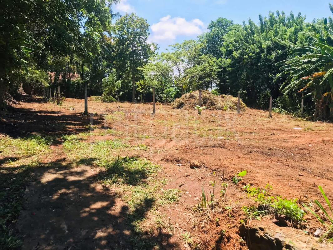 Commercial Land for Sale in Panadura