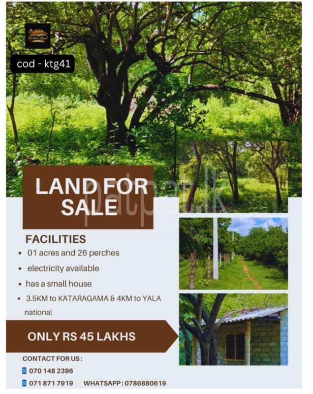 Advertisement image 4