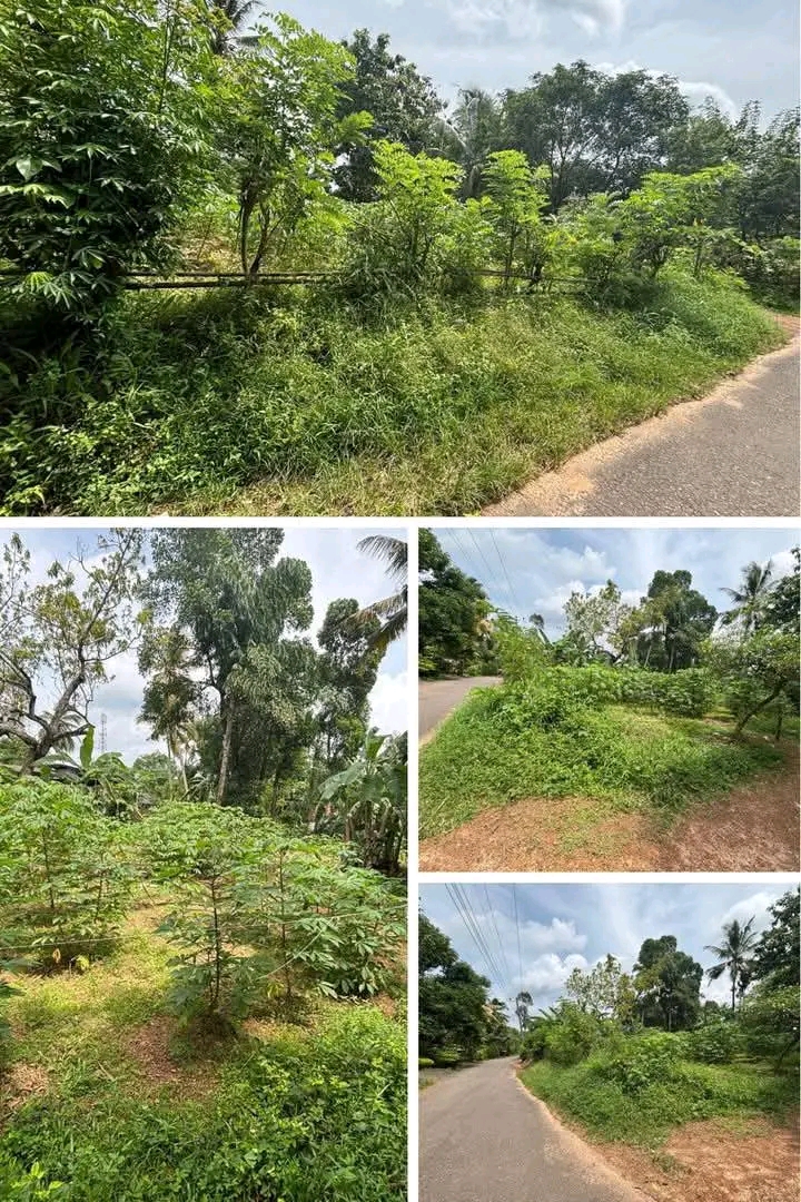 Residential Land for Sale in Horana