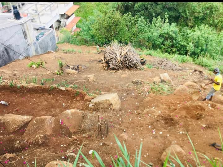 Agricultural Land for Sale in Hantane ads-image-1