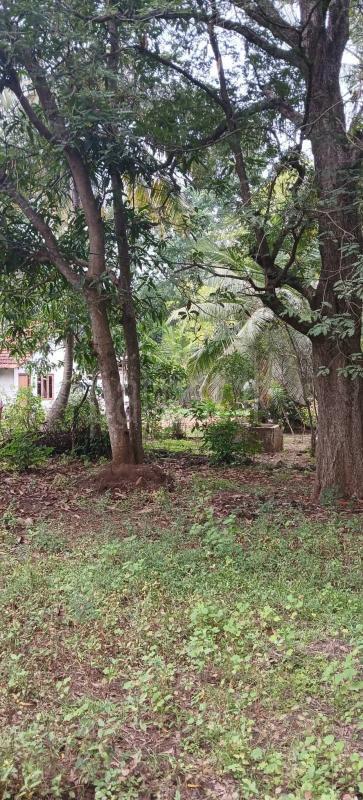 Residential Land for Sale in Kataragama