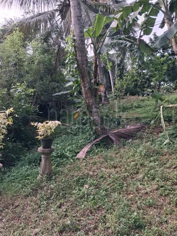 Residential Land for Sale in Wattala