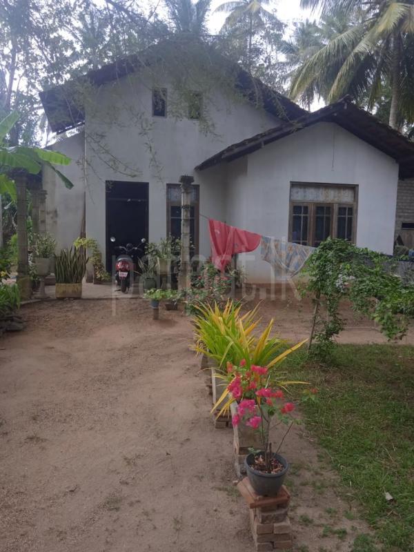 House for Sale in Lunuwila ads-image-1