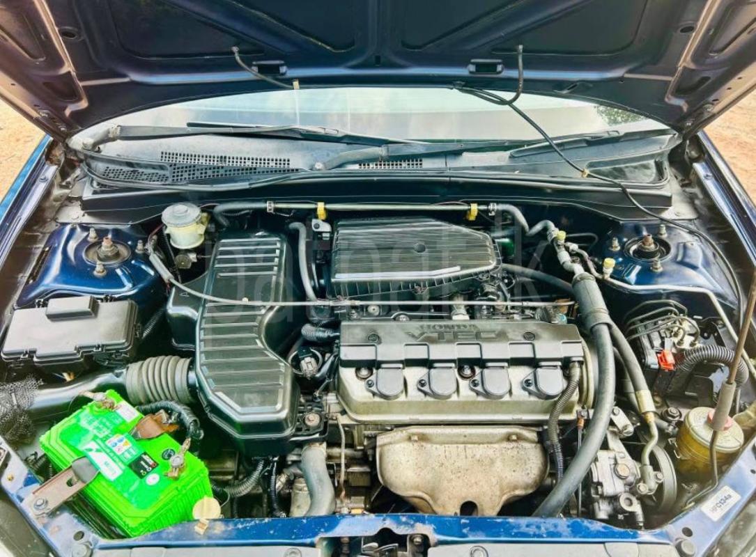 Advertisement image 3