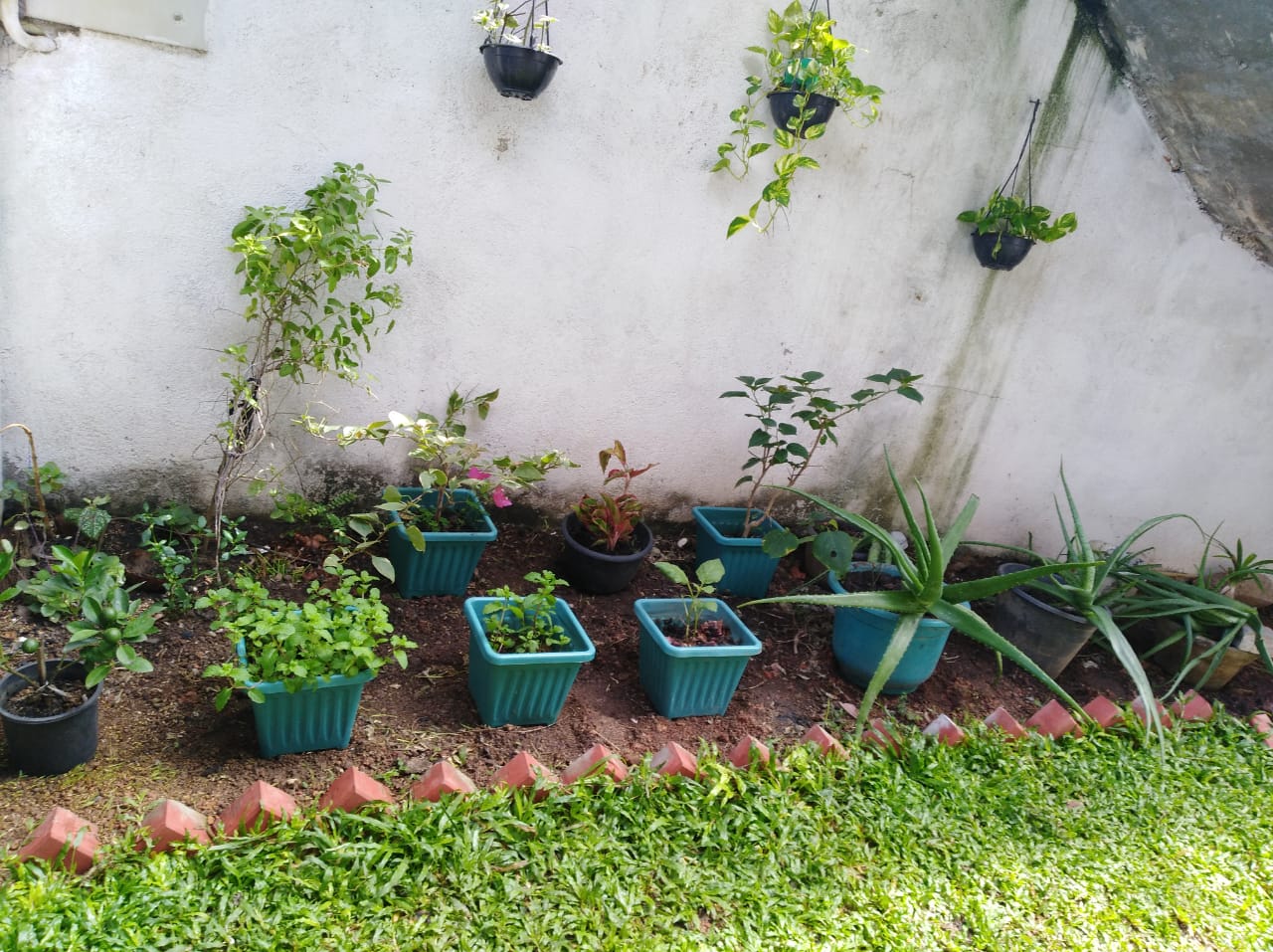 House for Sale in Boralesgamuwa ads-image-1