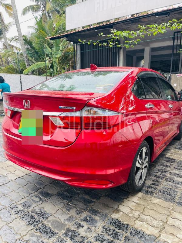 Advertisement image 3