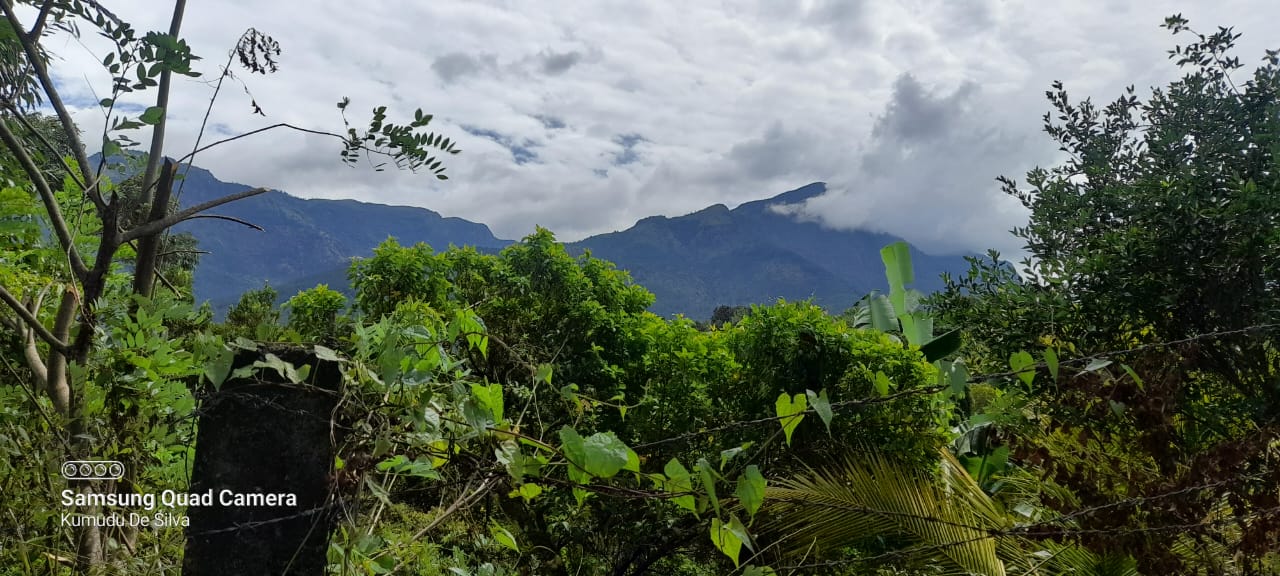 Commercial Land for Sale in Belihuloya