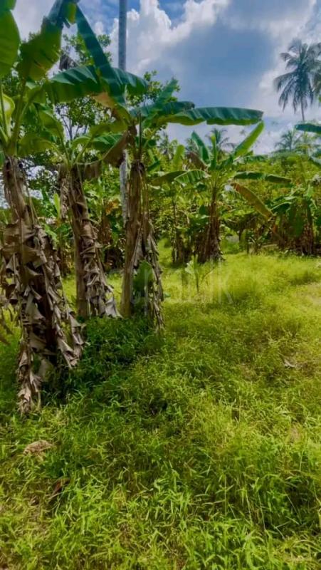 Residential Land for Sale in Piliyandala