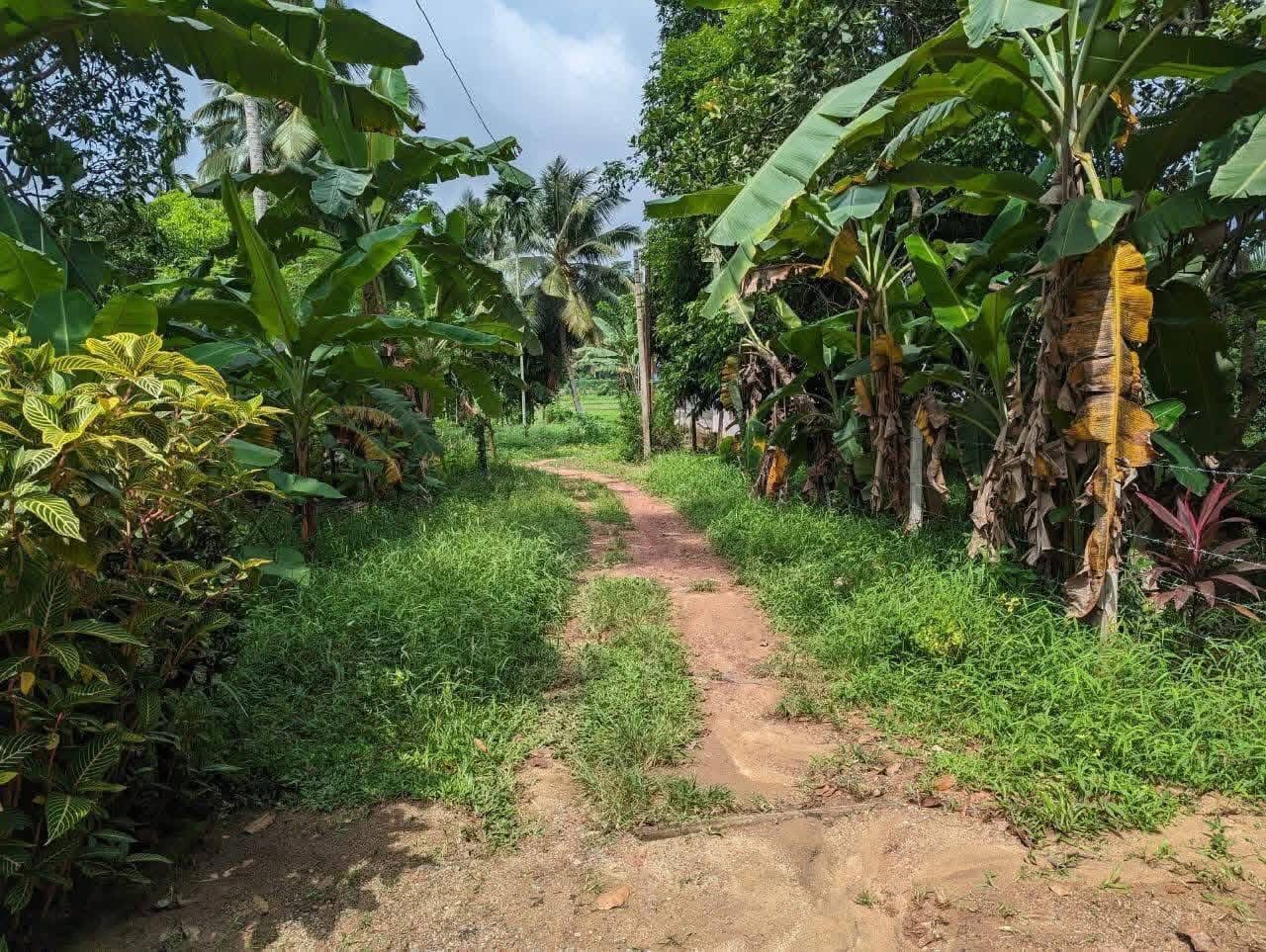 Residential Land for Sale in Kadawatha