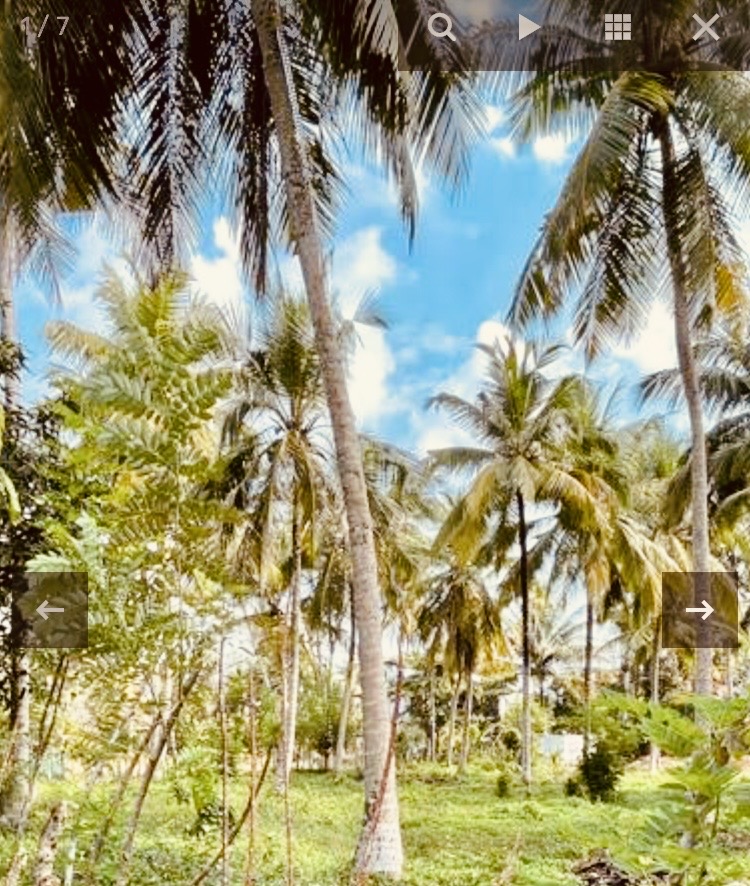 Agricultural Land for Sale in Chavakachcheri