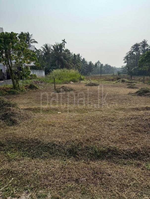 Residential Land for Sale in Madampe ads-image-1