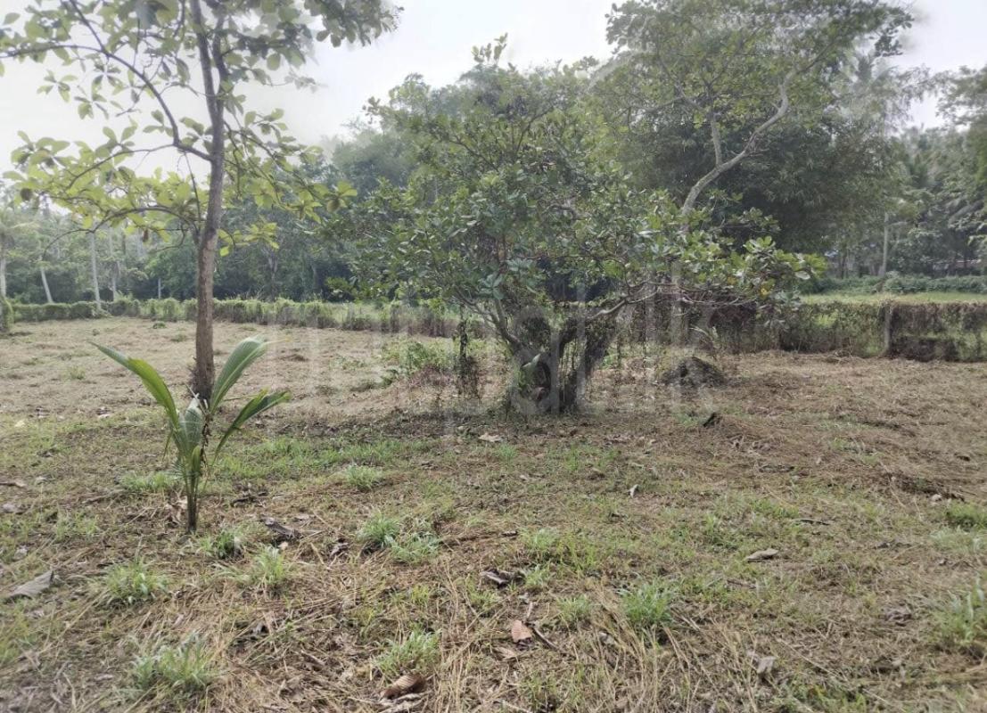 Agricultural Land for Sale in Wehigala