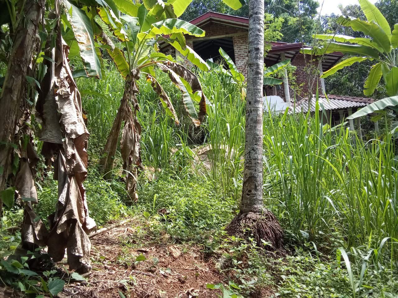 Commercial Land for Sale in Kegalle ads-image-1