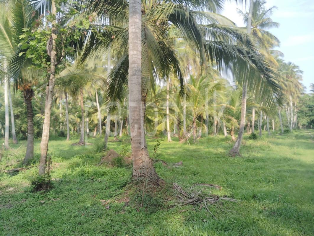 Commercial Land for Sale in Wariyapola