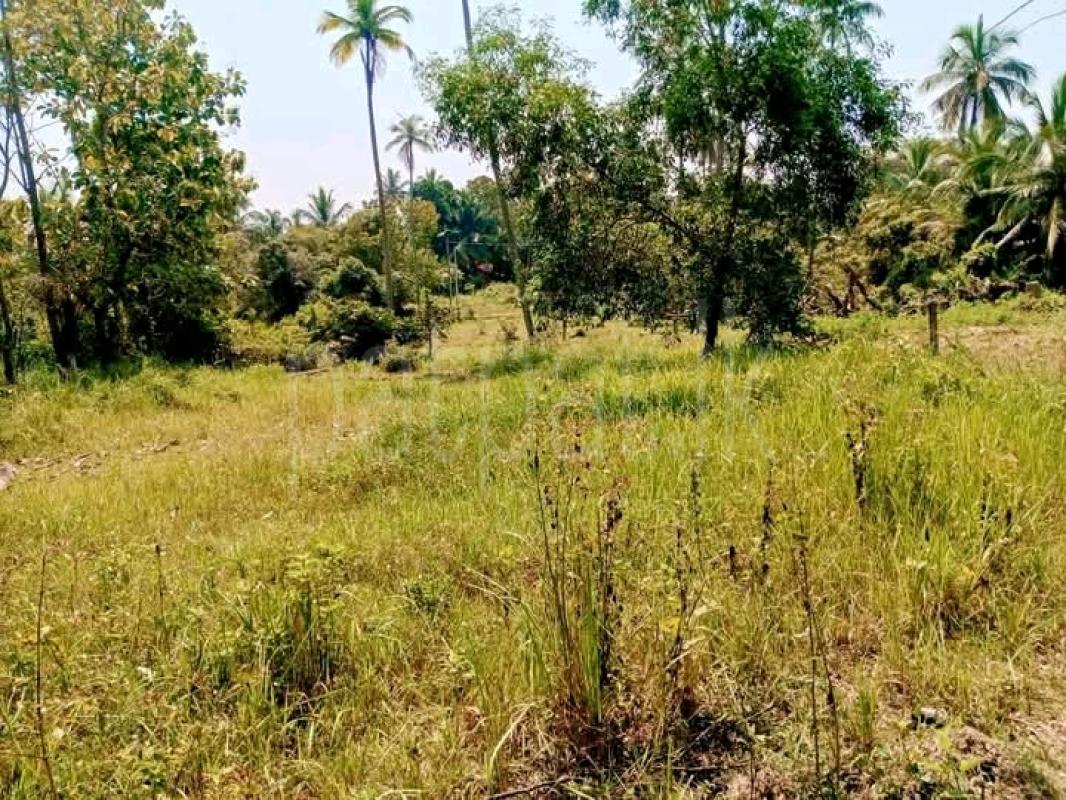 Commercial Land for Sale in Kurunegala