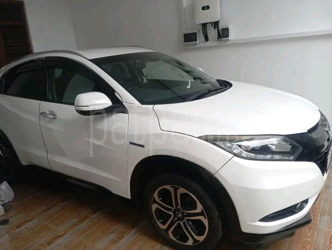 Advertisement image 3