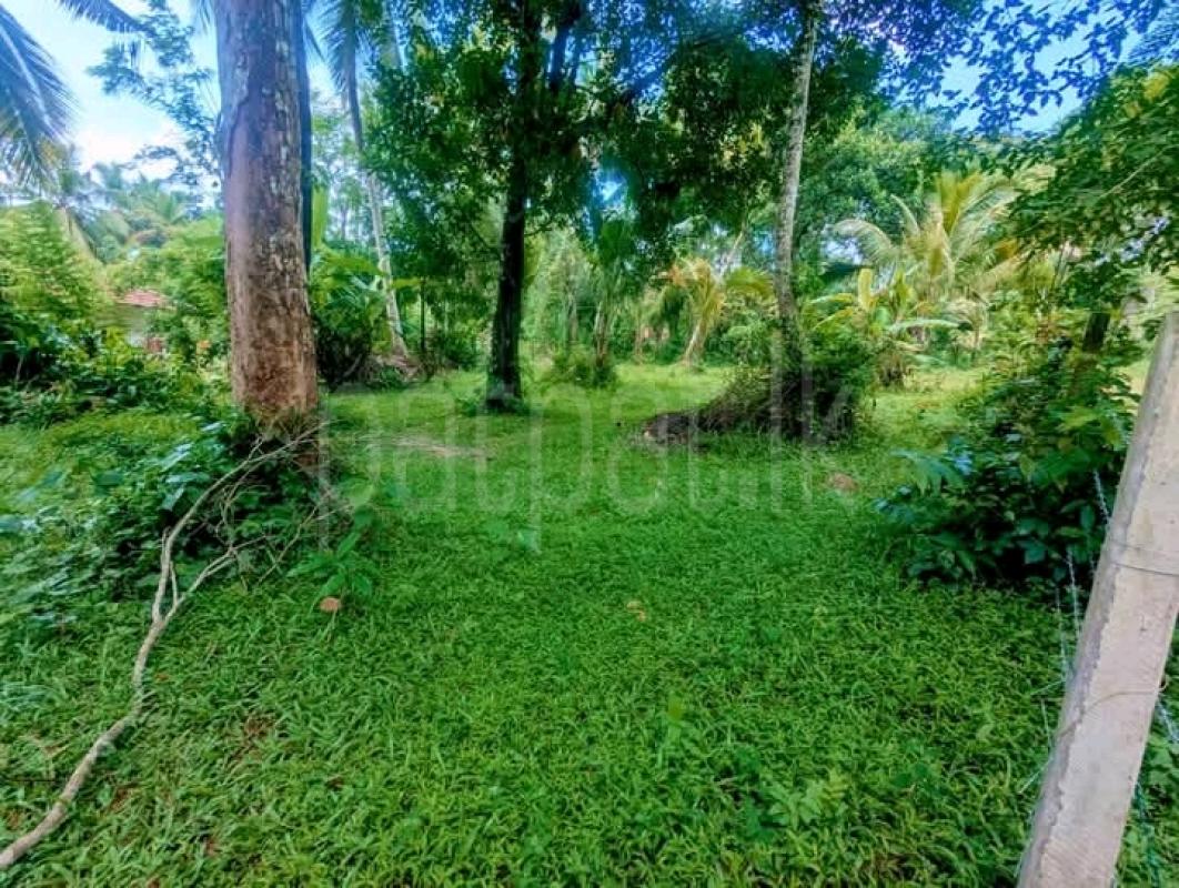 Commercial Land for Sale in Gampaha