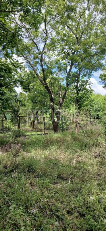 Residential Land for Sale in Kataragama