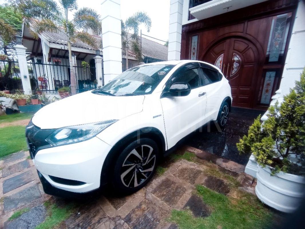 Advertisement image 6