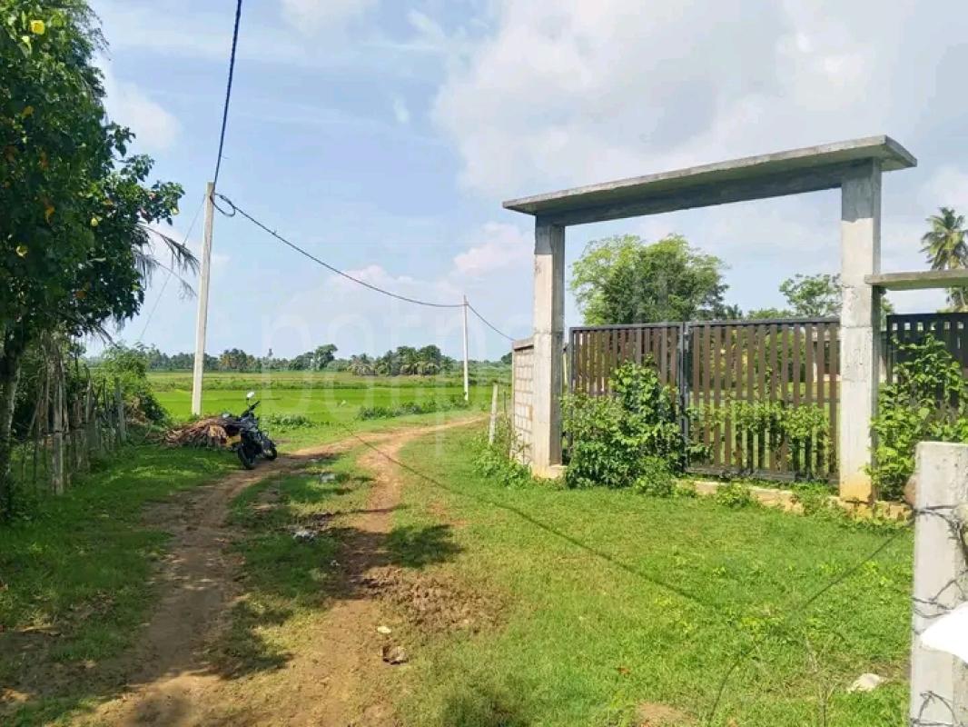 Commercial Land for Sale in Ranna