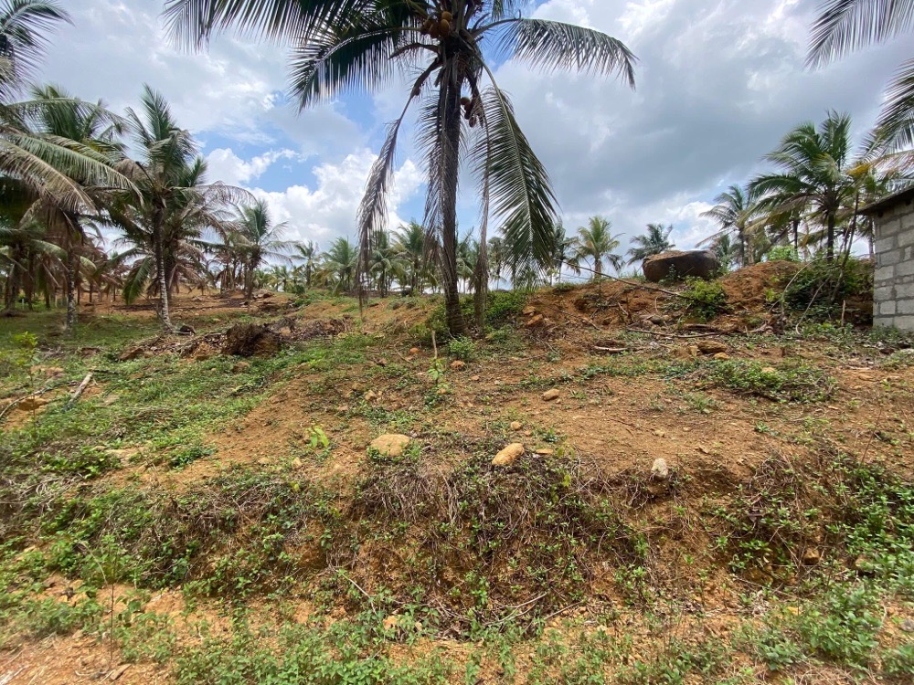 Commercial Land for Sale in Padukka