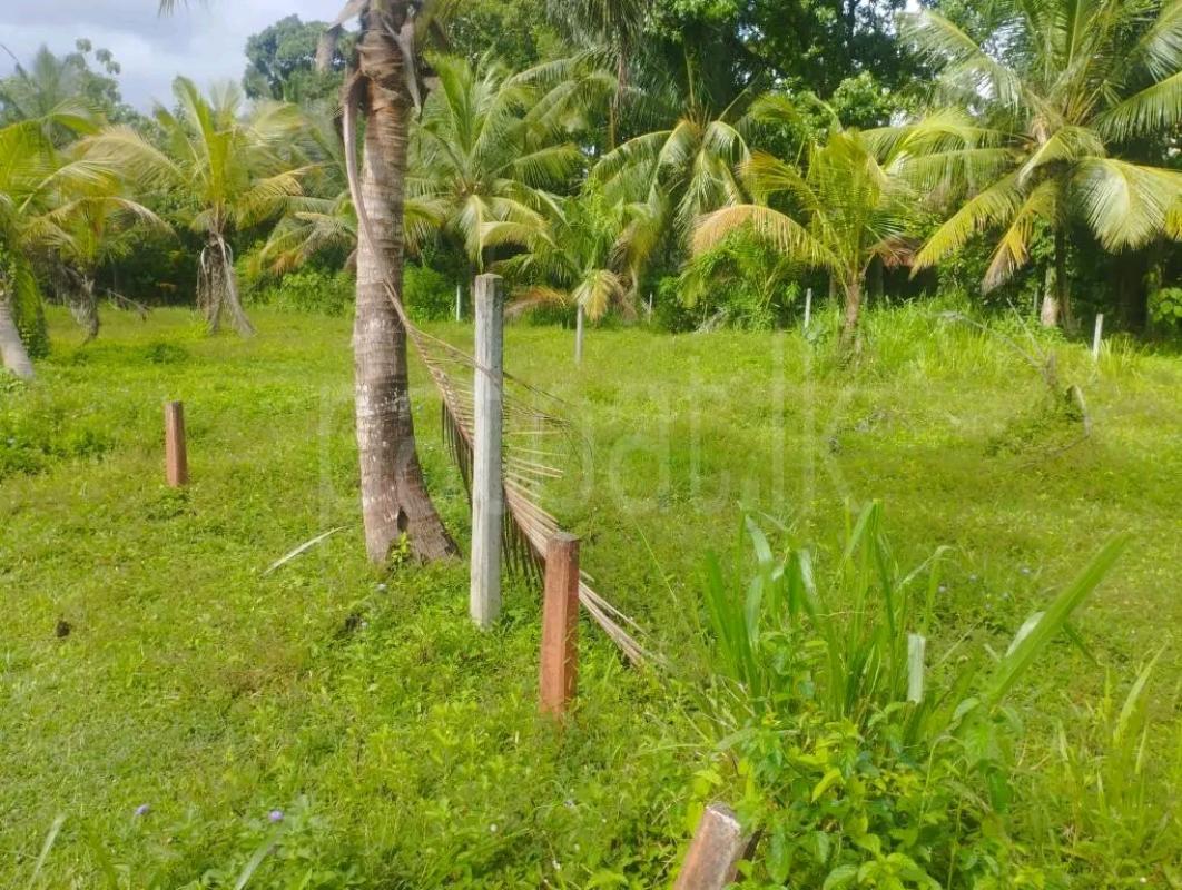 Residential Land for Sale in Maho