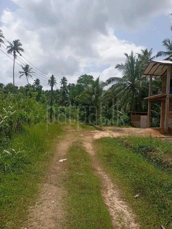 listing-image