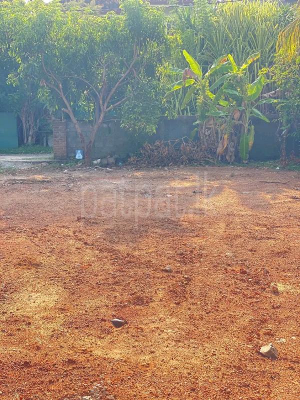Residential Land for Sale in Wattala