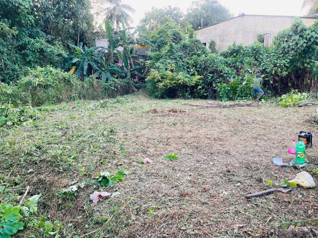 Commercial Land for Sale in Panadura