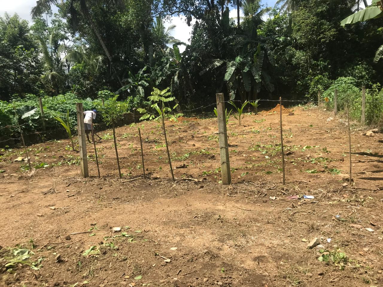 Residential Land for Sale in Padukka