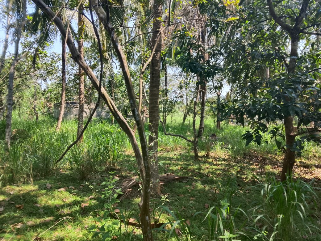 Residential Land for Sale in Maho