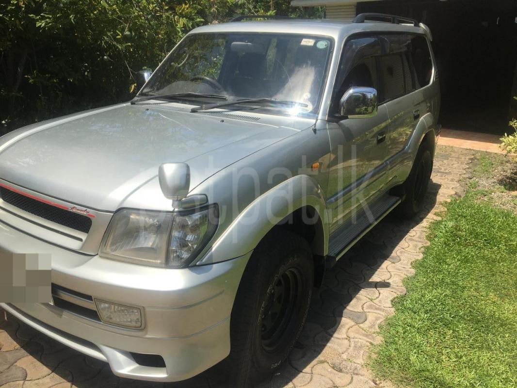 Advertisement image 2