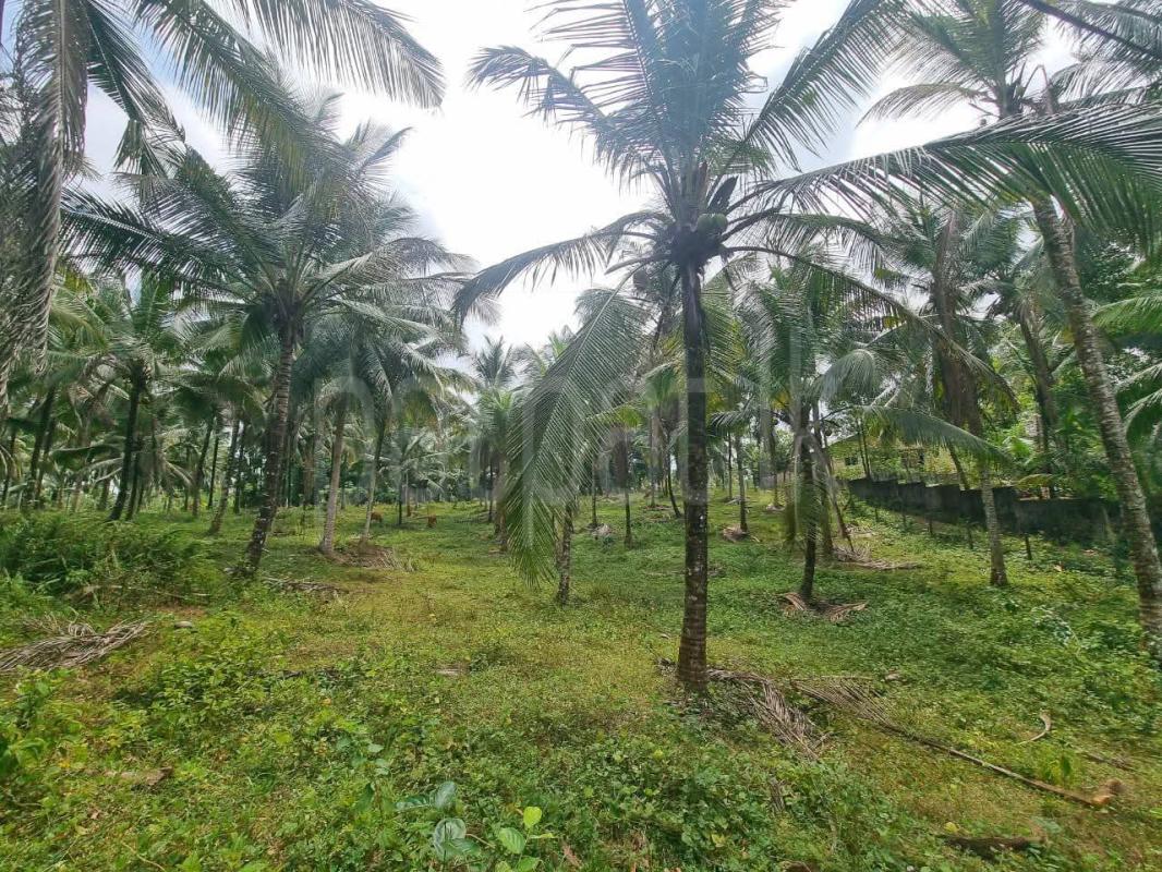 Residential Land for Sale in Kirindiwela