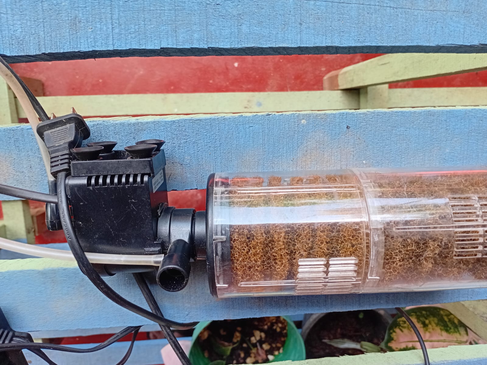 Fish Tank Sale– Complete Setup!