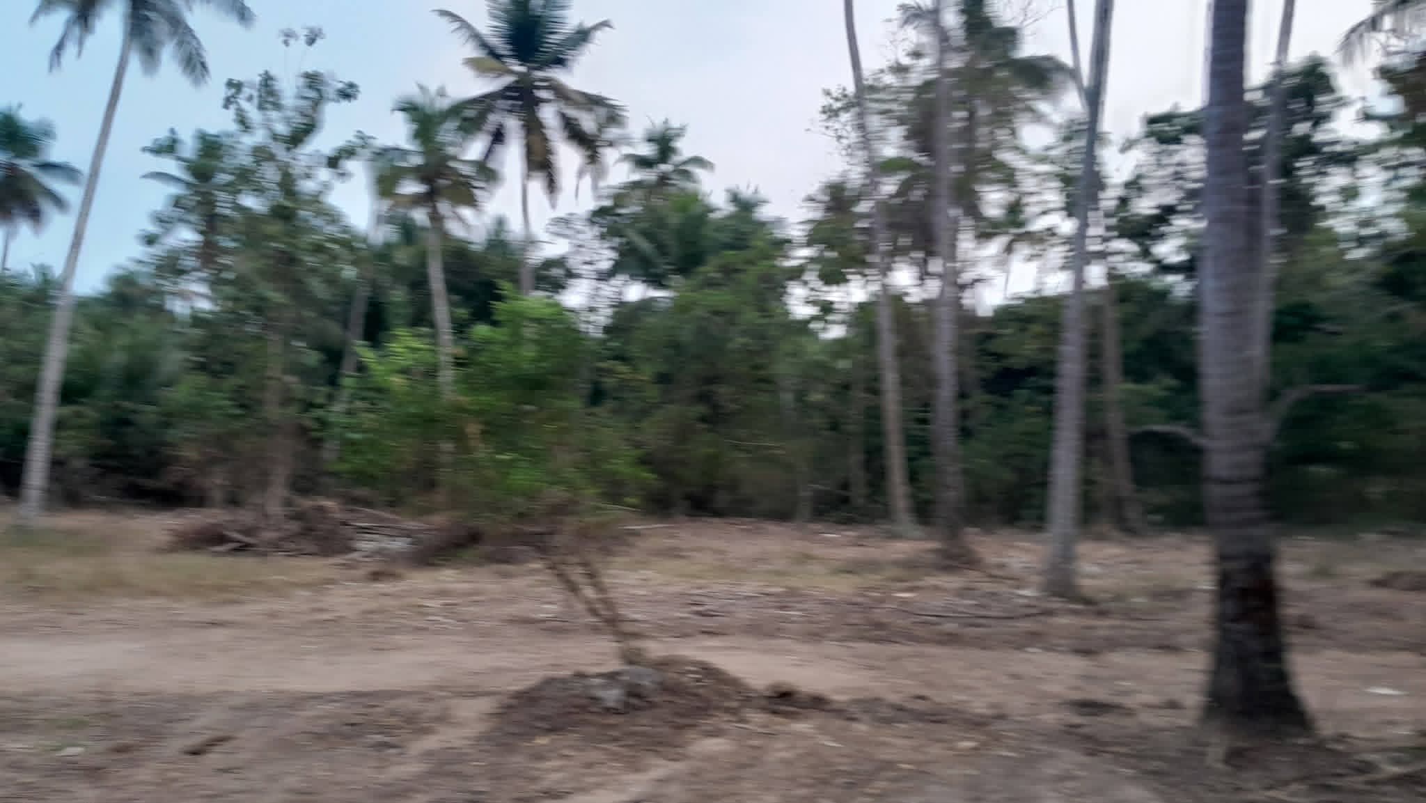 Residential Land for Sale in Tangalla