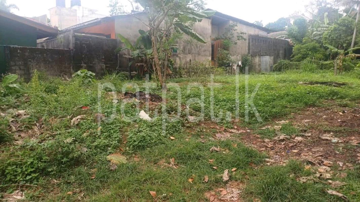 Residential Land for Sale in Ekala ads-image-1