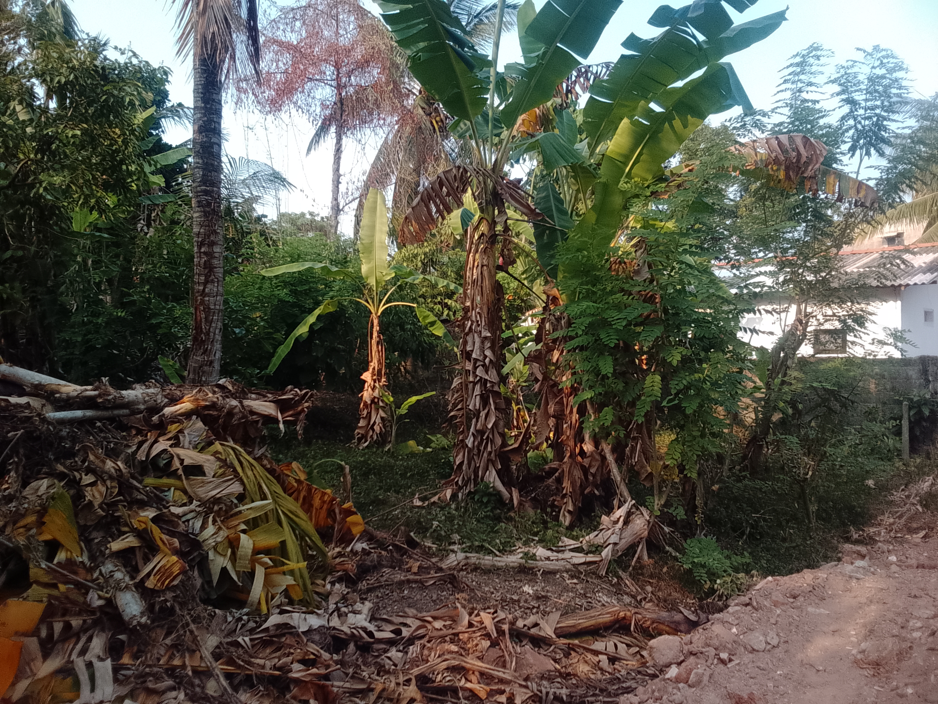 Residential Land for Sale in Kelaniya ads-image-1