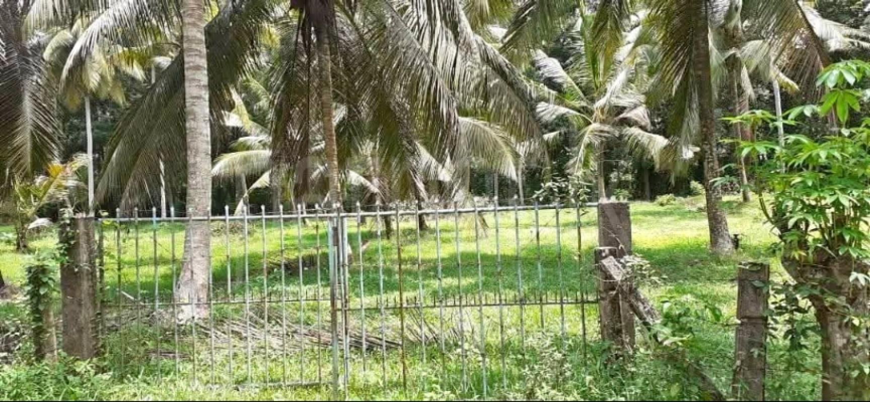 premium-listing-image