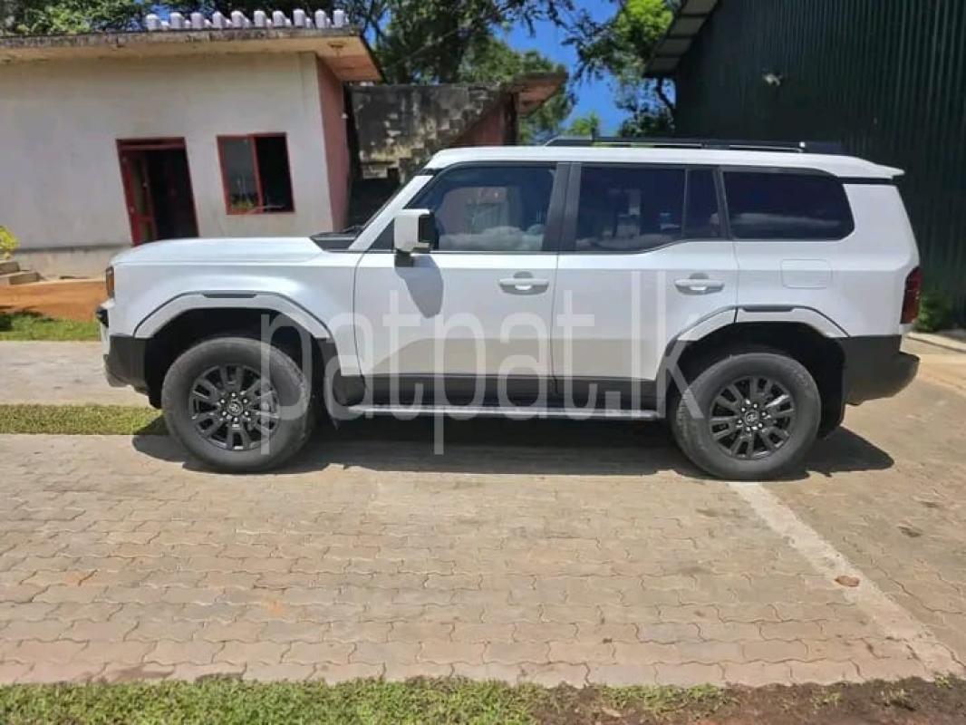 Advertisement image 2